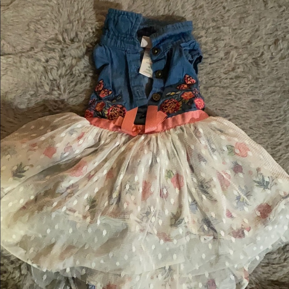 12 month old spring dress